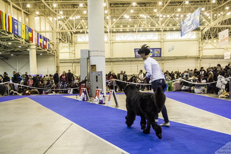 Фотография № 170791