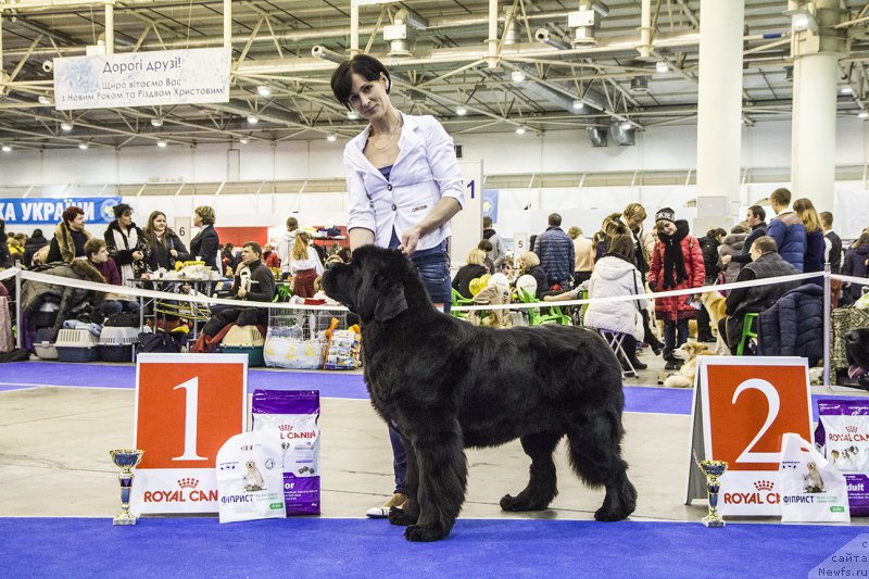 Фотография № 170794