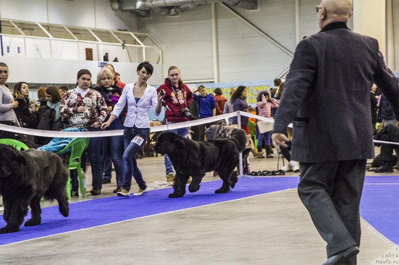 Фотография № 170796