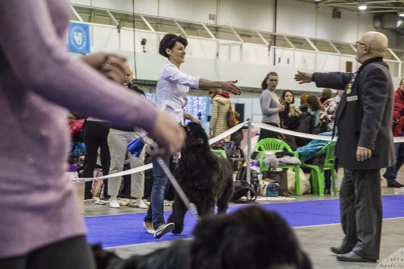 Фотография № 170797