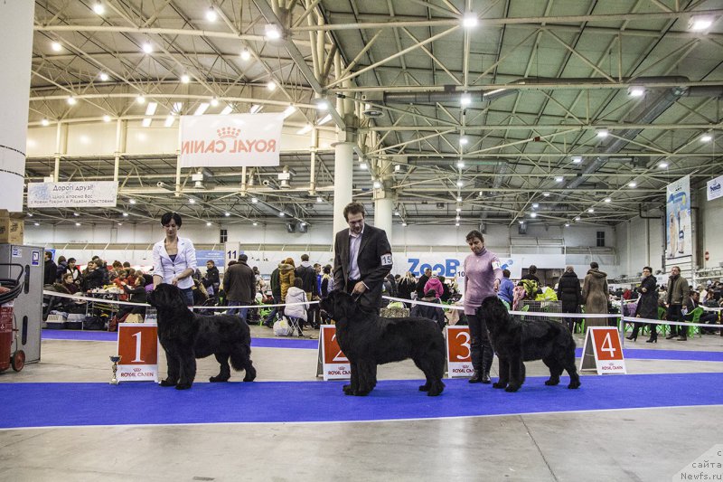 Фотография № 170798