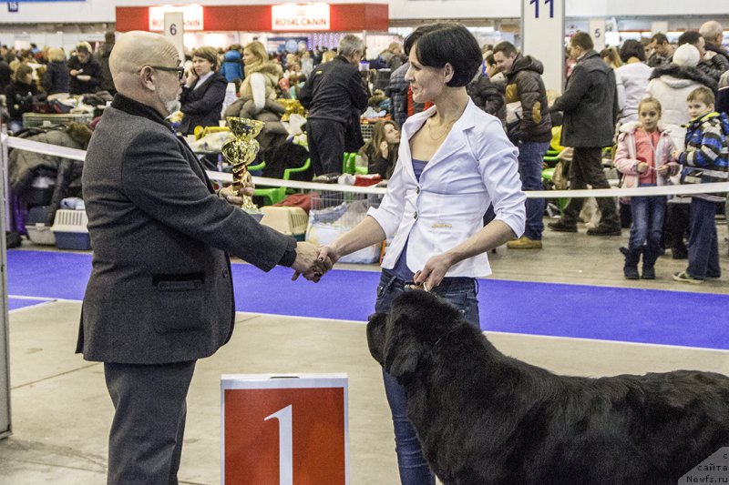 Фотография № 170802