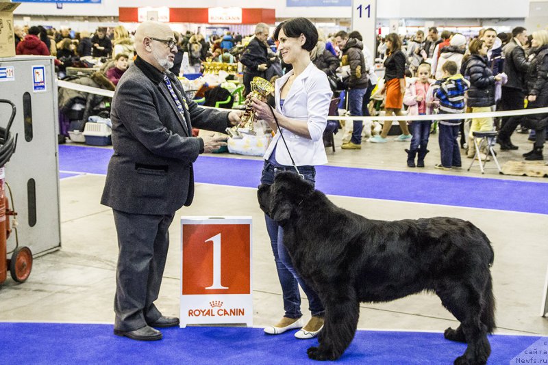 Фотография № 170803