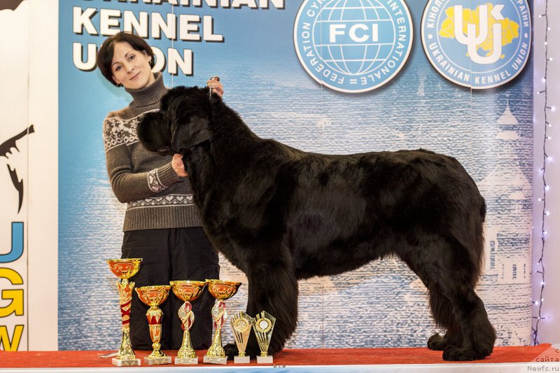 Фотография № 170804