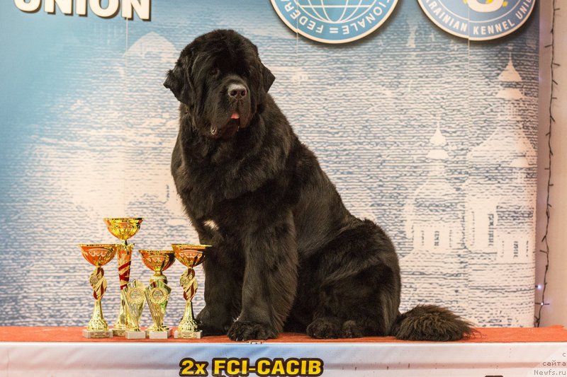 Фотография № 170805