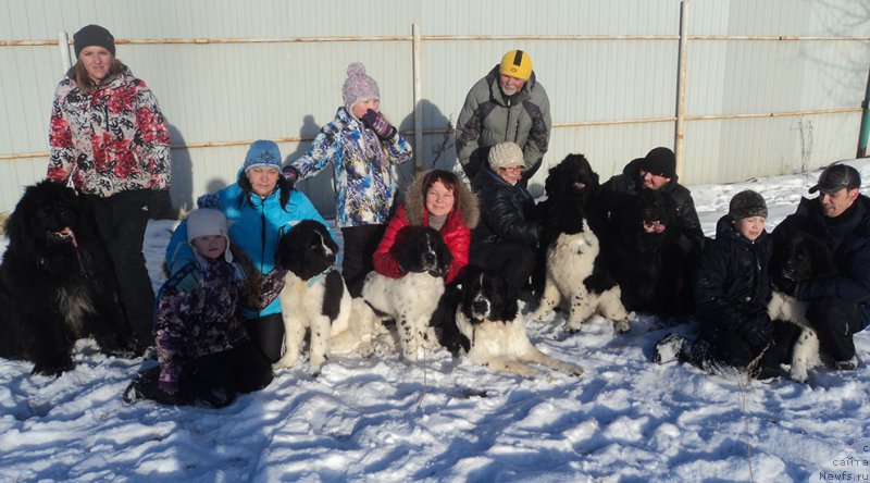 Фотография № 170810