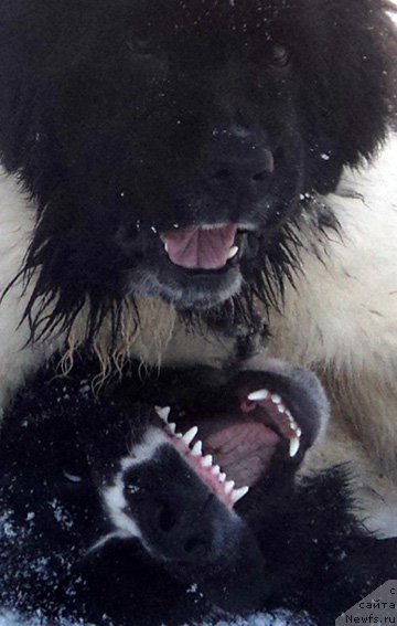 Фотография № 170812