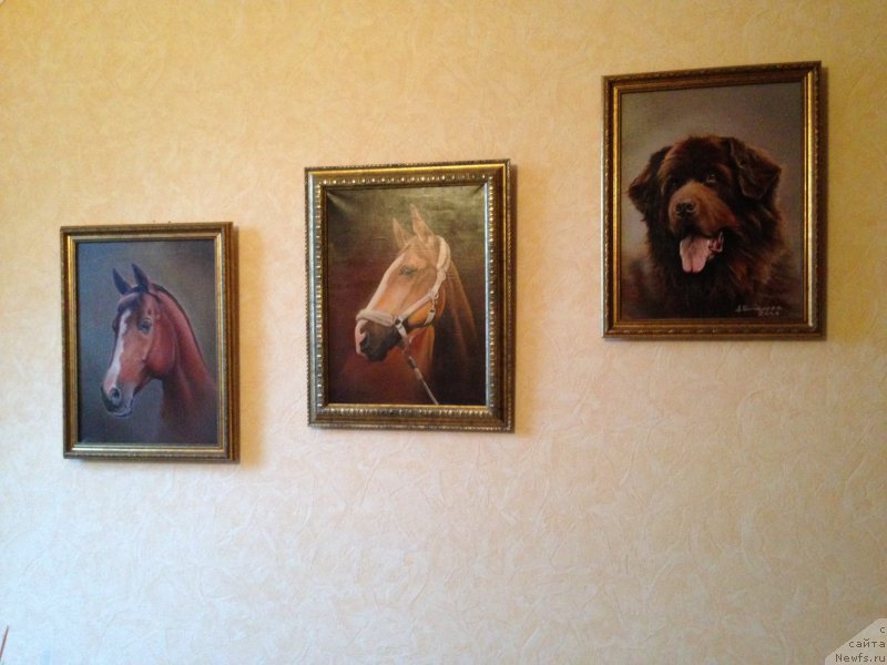 Фотография № 170832