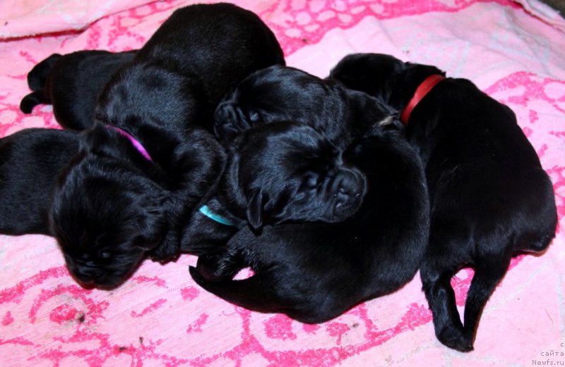 Фотография № 170834