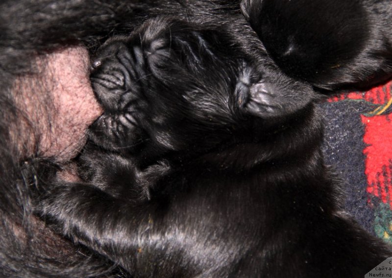 Фотография № 170836