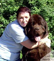 Фото: ньюфаундленд Супер Премиум Бест Бэлжен Ригардс (Super Premium Best Belzhen Regards)