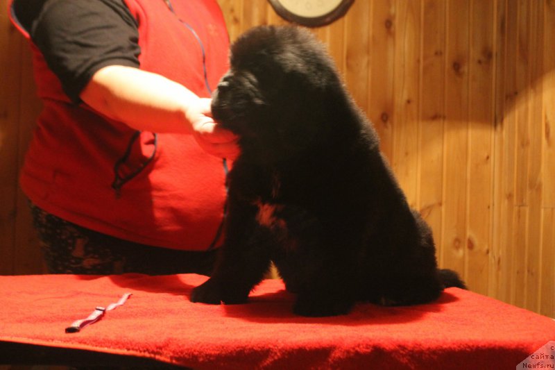 Фотография № 170844