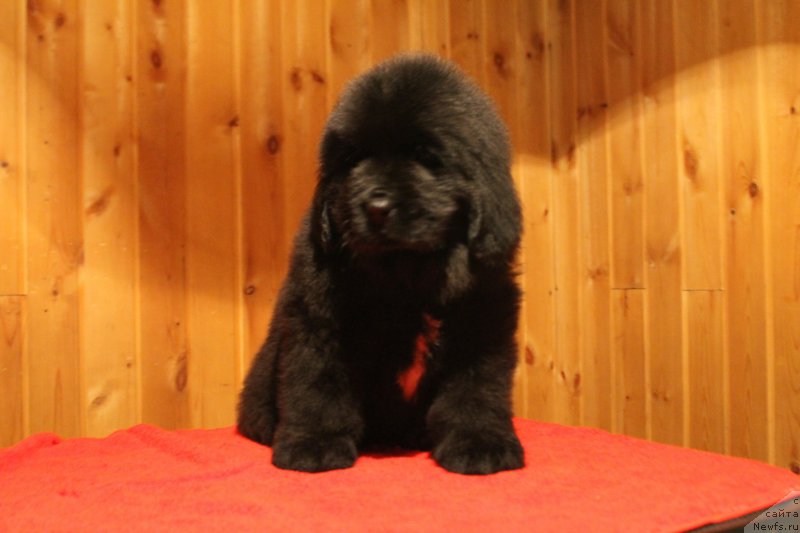 Фотография № 170845