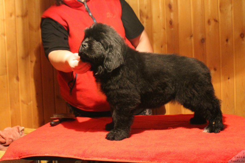 Фотография № 170848