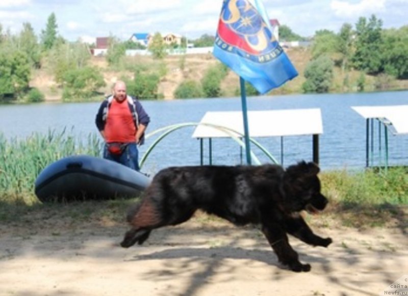 Фотография № 170863