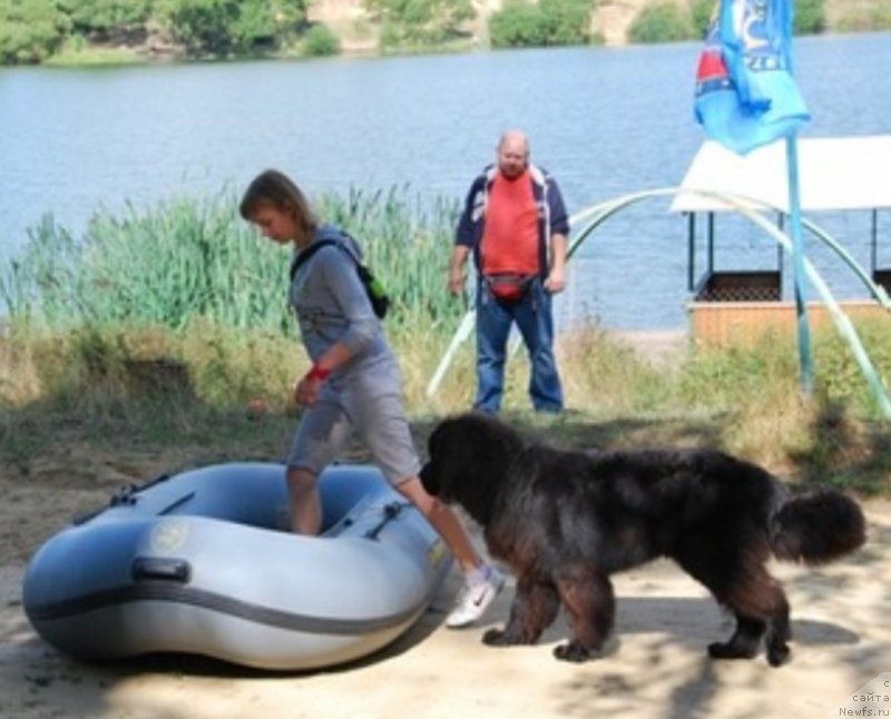 Фотография № 170864