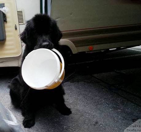 Фотография № 170865