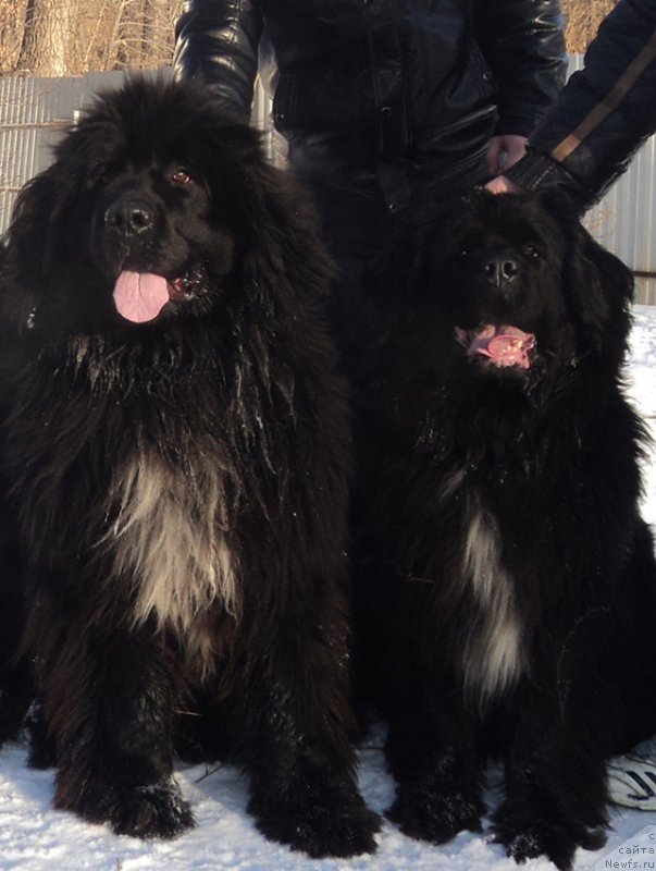 Фотография № 170871