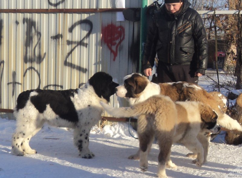 Фотография № 170872