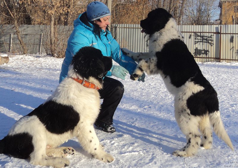 Фотография № 170873