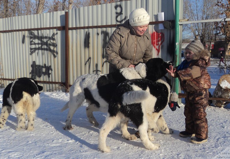 Фотография № 170875