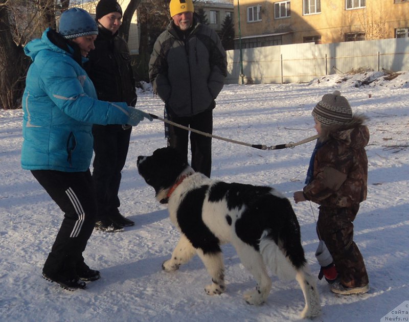 Фотография № 170876