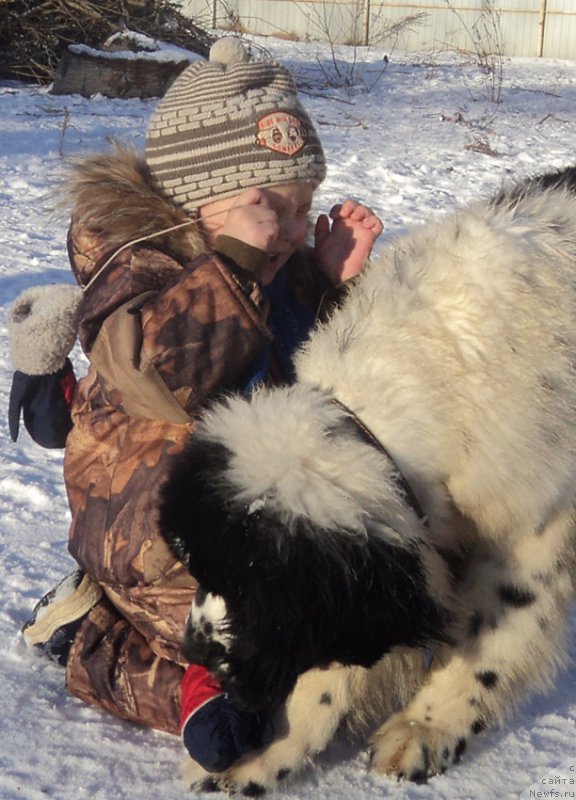 Фотография № 170877