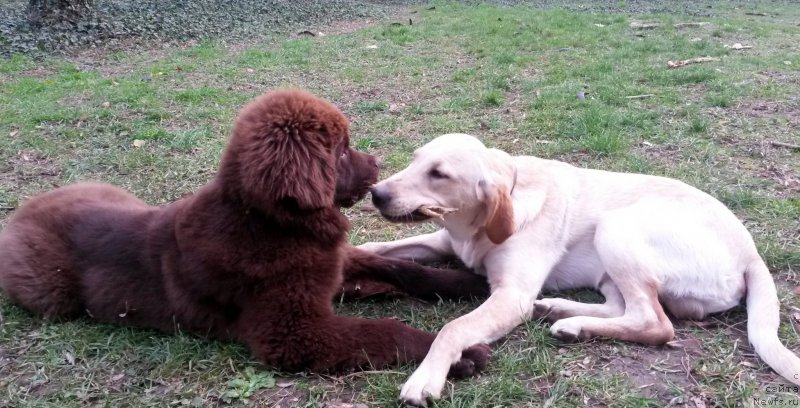 Фотография № 170889