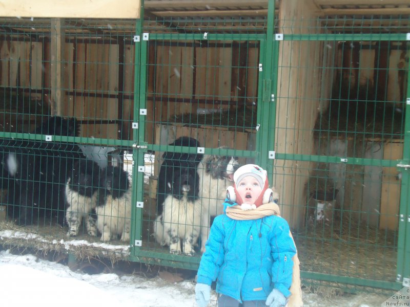 Фотография № 170929