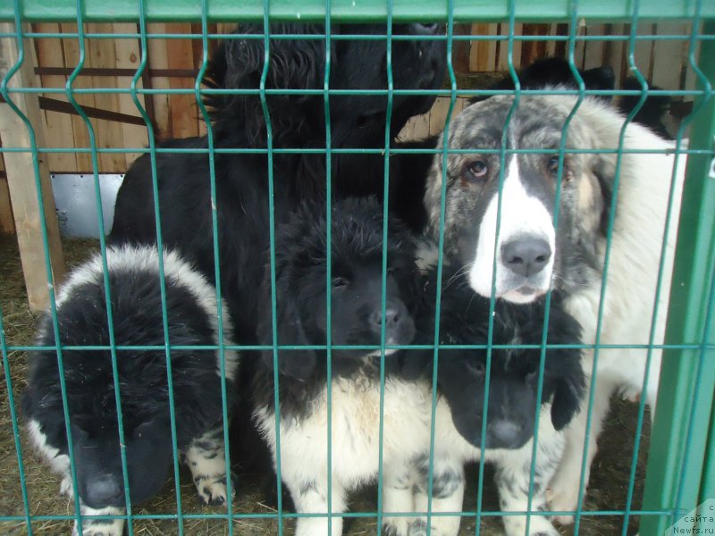 Фотография № 170931