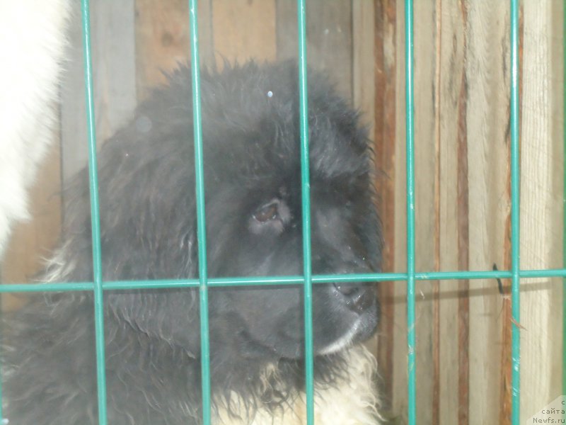 Фотография № 170932