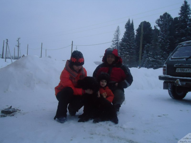 Фотография № 170936