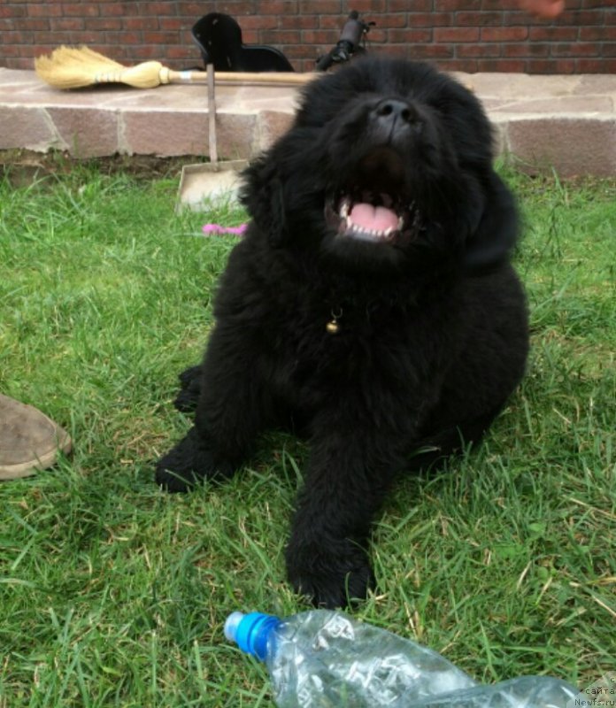 Фотография № 170937