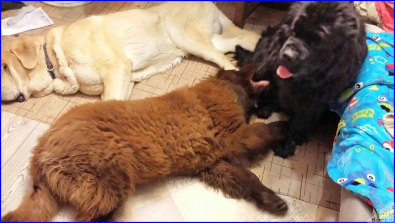 Фотография № 170947