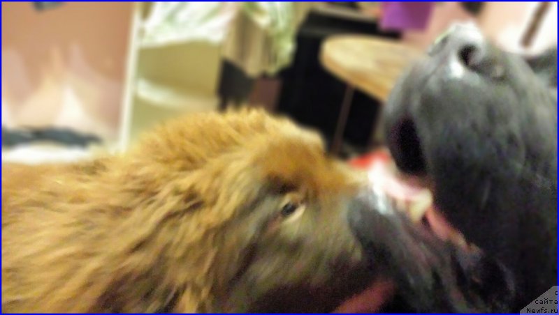 Фотография № 170948