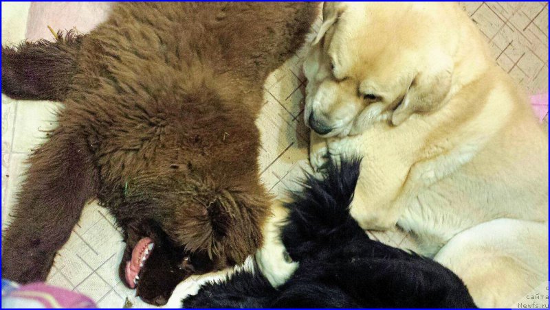 Фотография № 170950