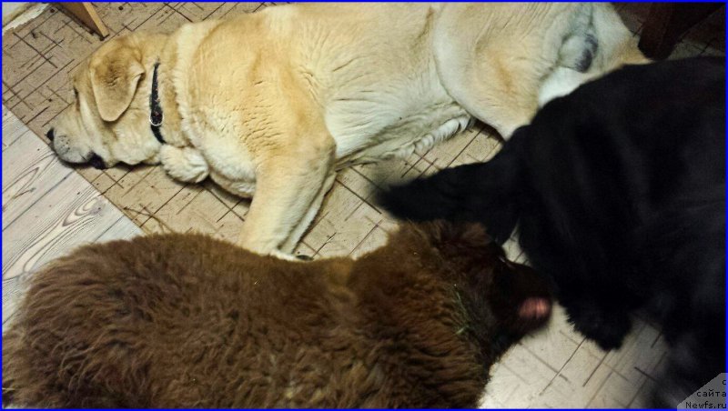 Фотография № 170951