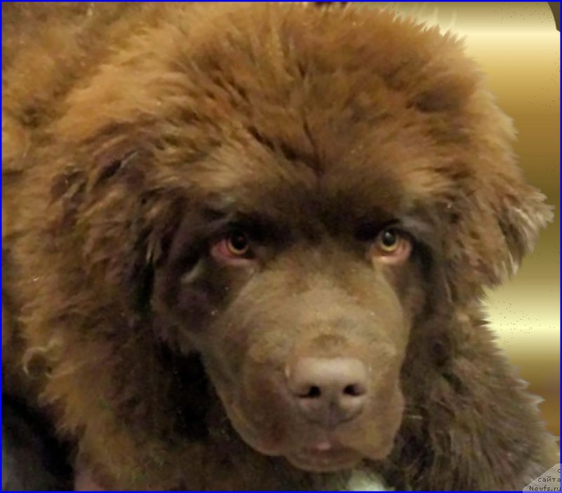 Фотография № 170952