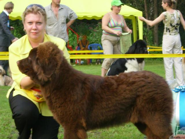 Фотография № 17096