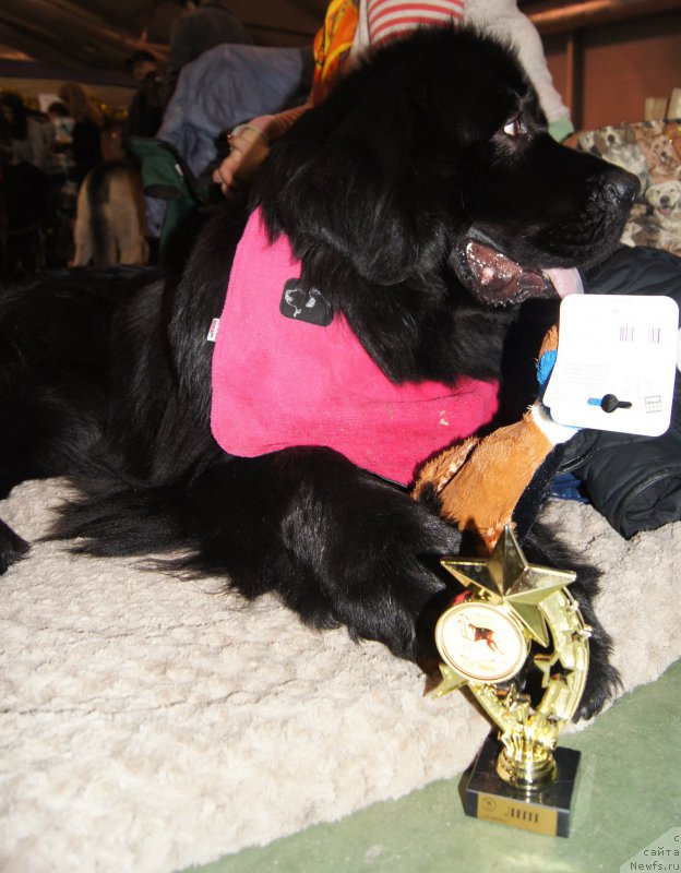 Фотография № 170973