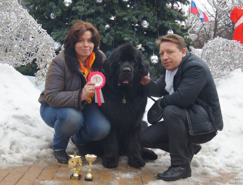 Фотография № 170974