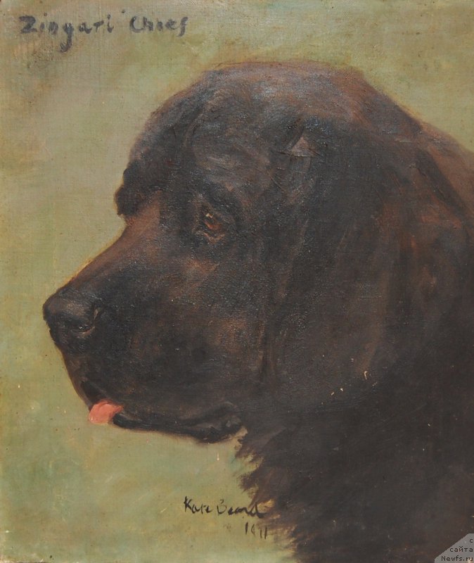 Фотография № 170980