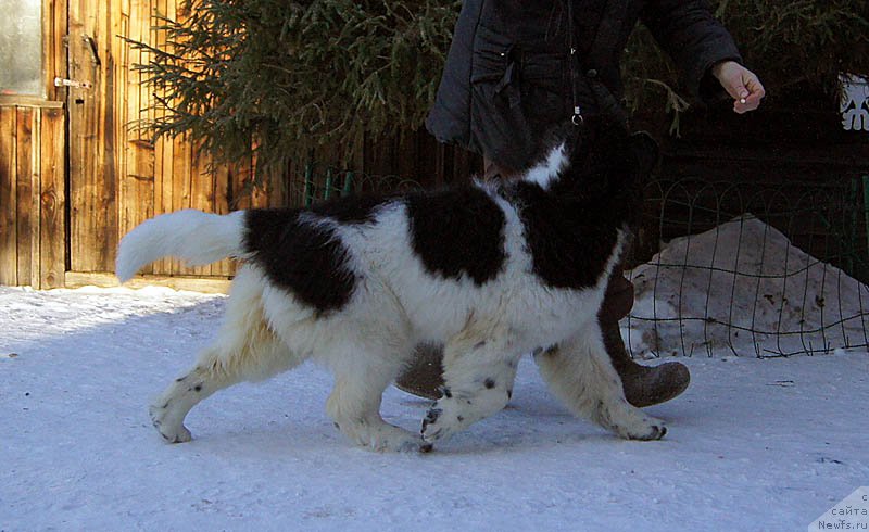 Фотография № 170997