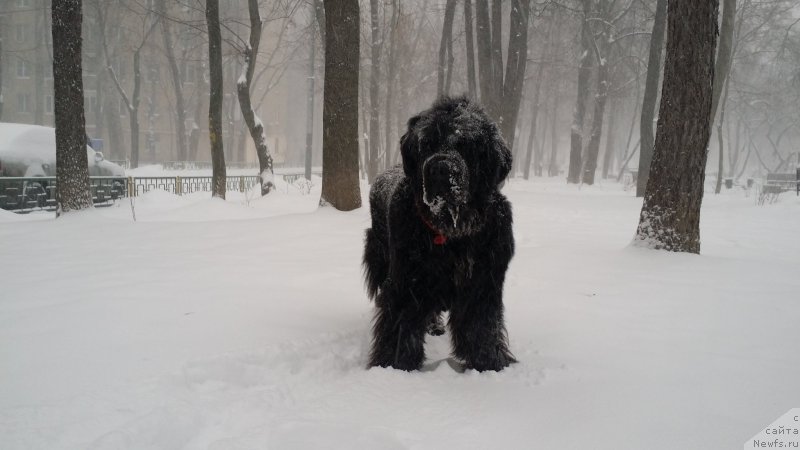 Фотография № 171027