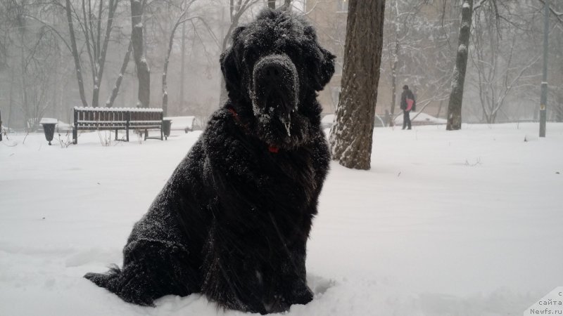 Фотография № 171028