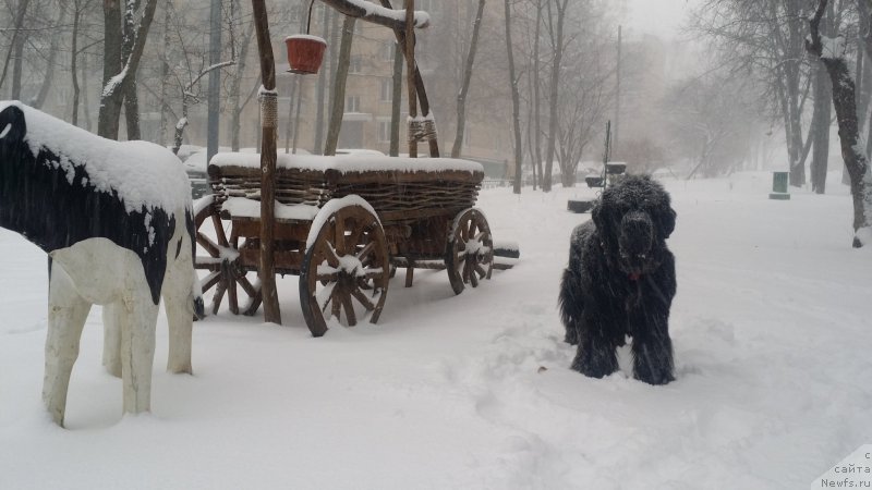 Фотография № 171029