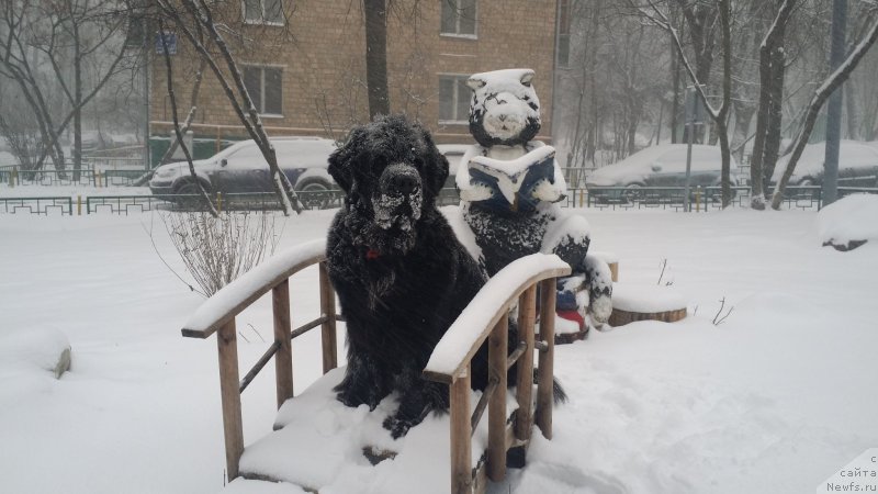 Фотография № 171030