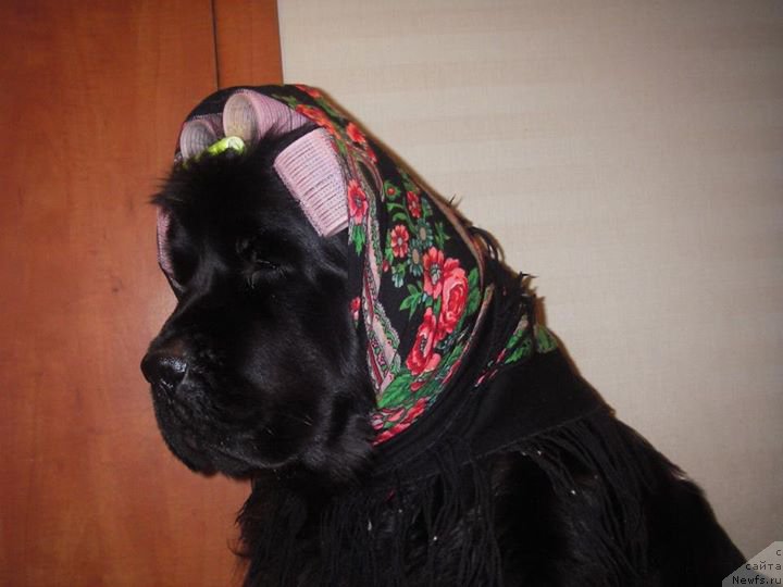 Фотография № 171053