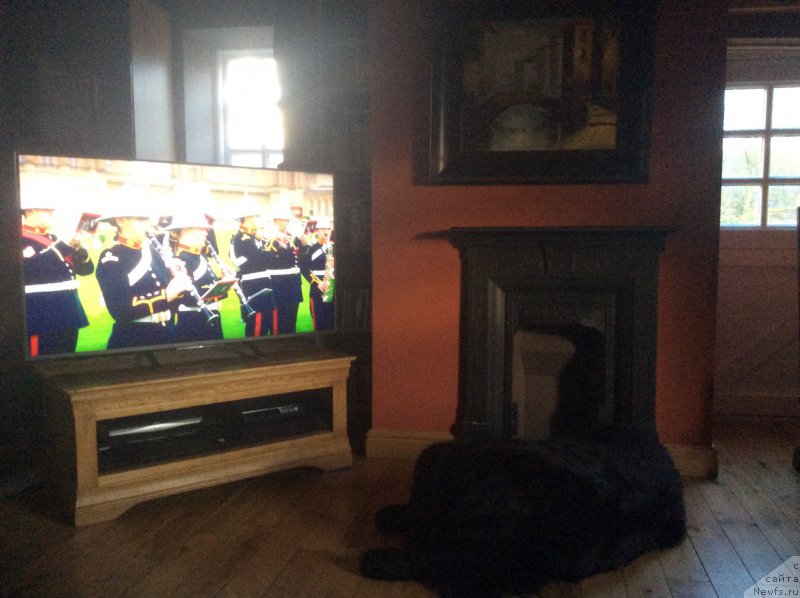 Фотография № 171055