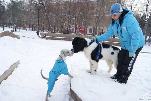 Фотография № 171078